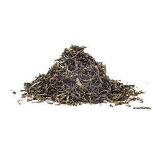 FOG TEA BIO - zelený čaj, 10g